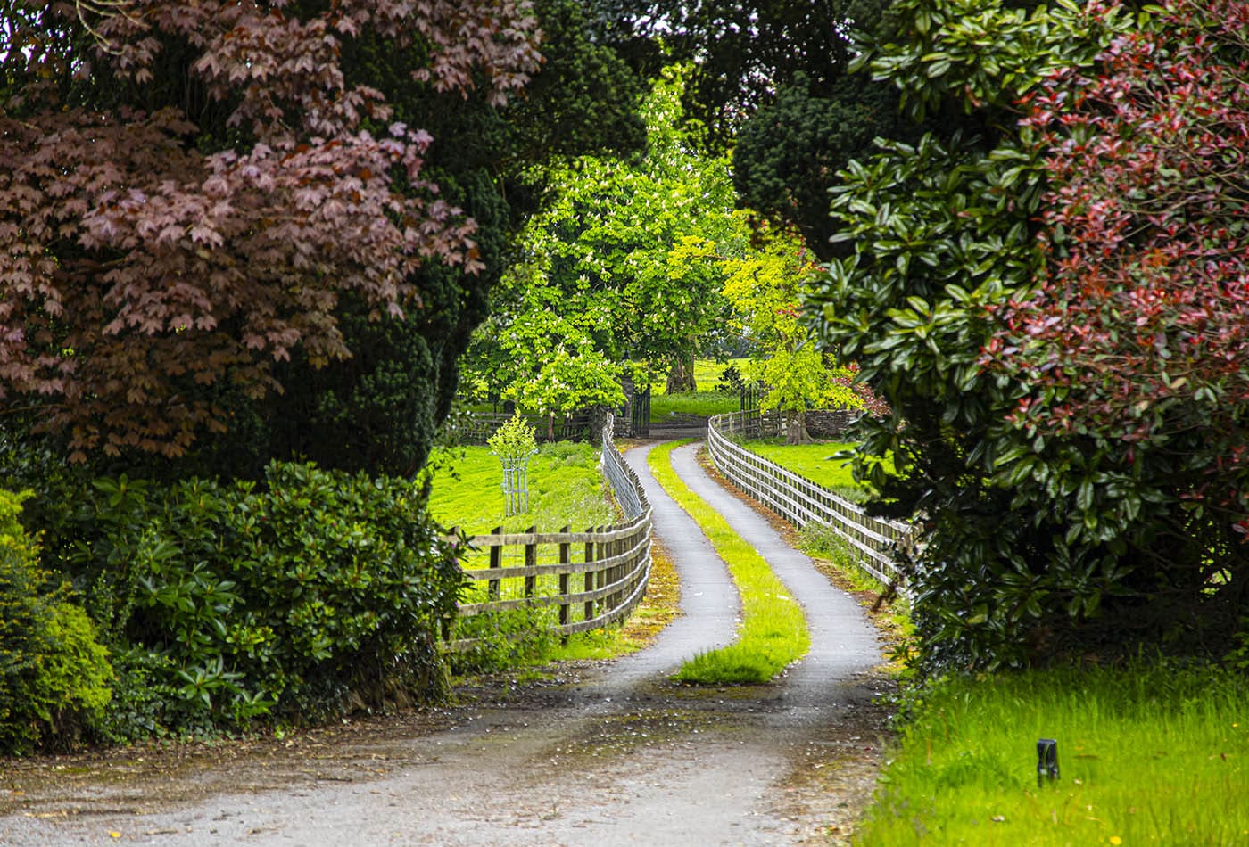 Plas Cilybebyll Parkland Driveway