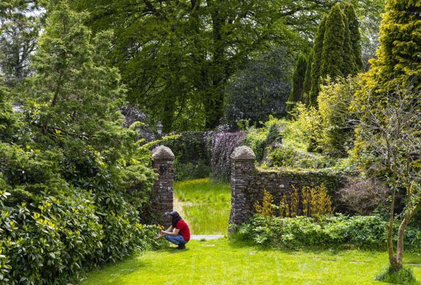 The walled garden at Plas Cilybebyll country estate in South Wales
