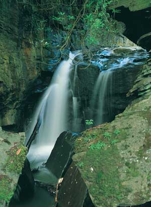 Aberdulais Falls Waterfall Country - Aberdulais Falls