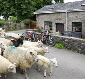 Self Catering Cottage near Brecon Beacons with Sheep