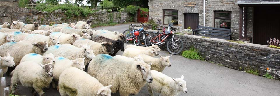 Bwthyn y Saer self catering cottages in South Wales