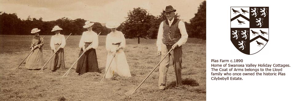 Harvest time on the Plas Cilybebyll Estate in the early 1900s
