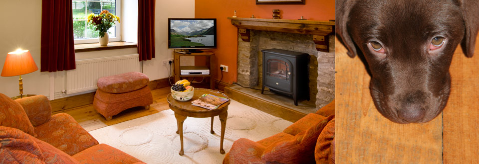 Ty Cerbyd Pet Friendly Self Catering Cottage