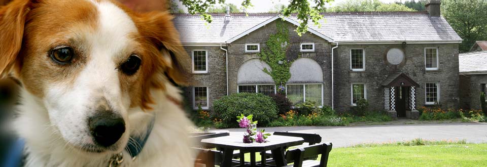 Ty Cerbyd Dog Friendly Holiday Cottages Wales